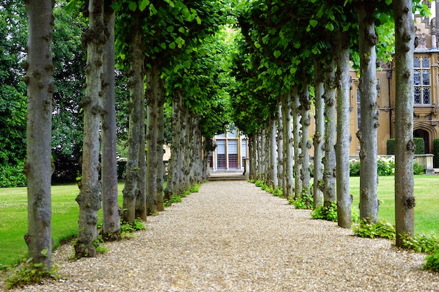 Le Jardin - Un Refuge de Beauté et de Sérénité